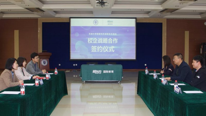 团队管理培训系统：打造高效团队的关键工具